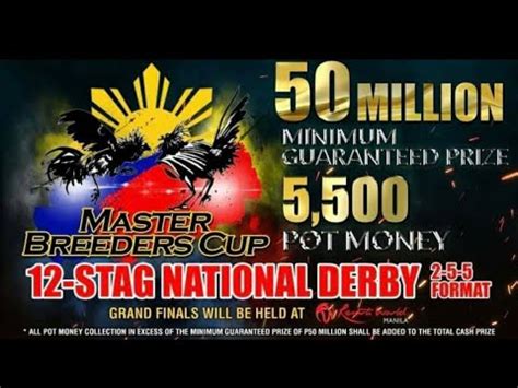 pit master derby
